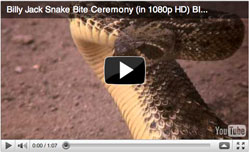 snake_bite_video_still